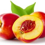 Nectarine