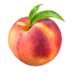 Pêche